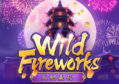 Wild Fireworks